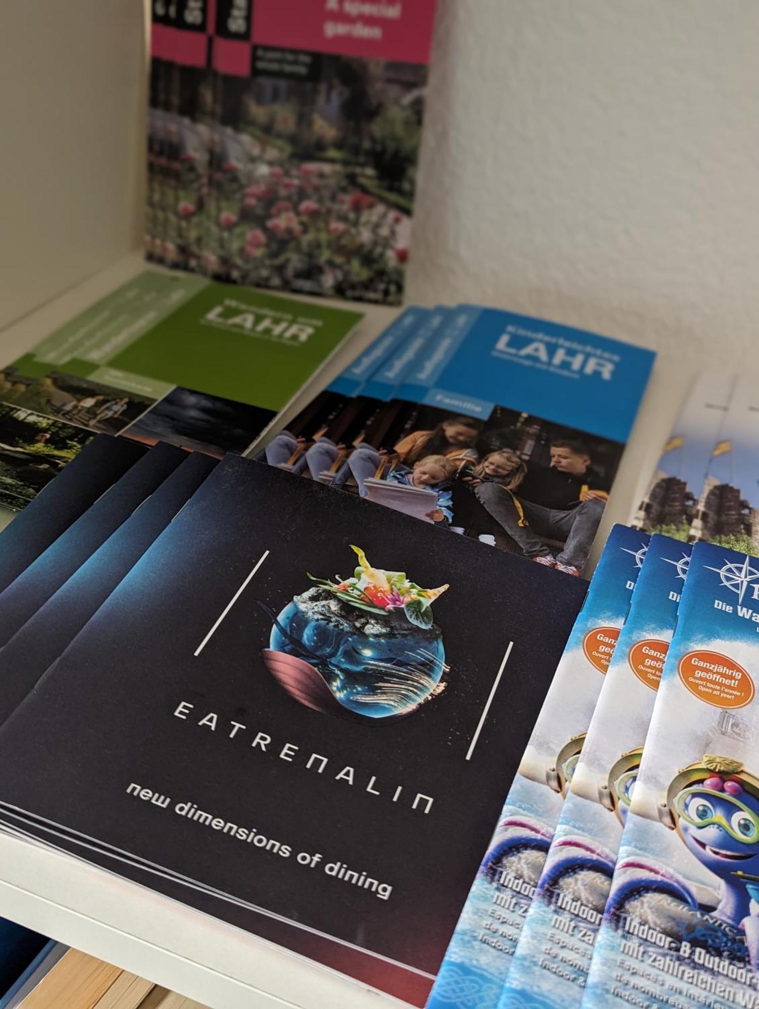 Ferienwohnung Nahe Europa Park Lahr  Eksteriør bilde